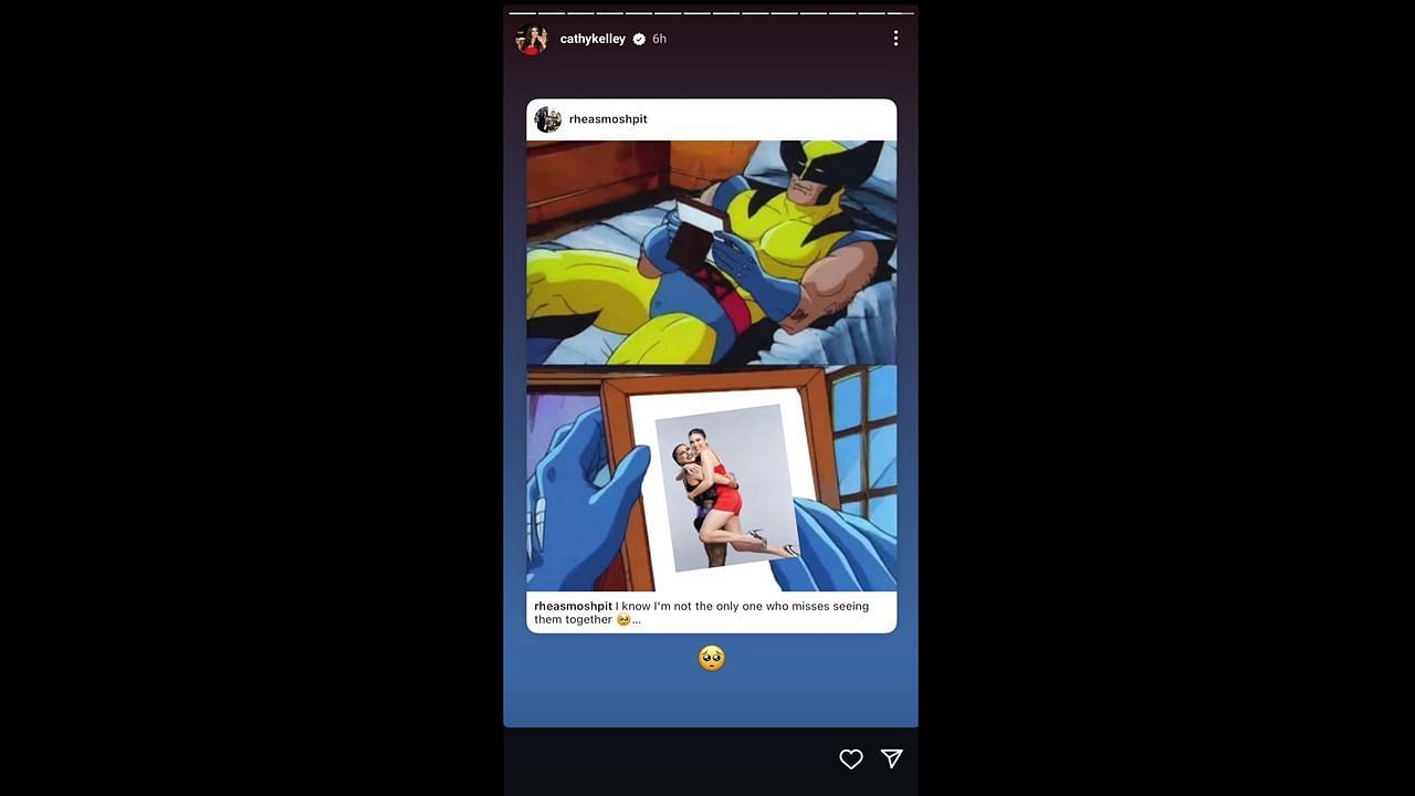 A screengrab of Cathy Kelley's Instagram story